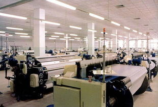 一呼百應公司頻道技術(shù)服務制作詳解