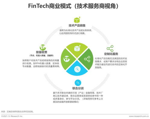2021年中國(guó)金融科技行業(yè)發(fā)展洞察報(bào)告 網(wǎng)絡(luò)技術(shù)服務(wù)視角
